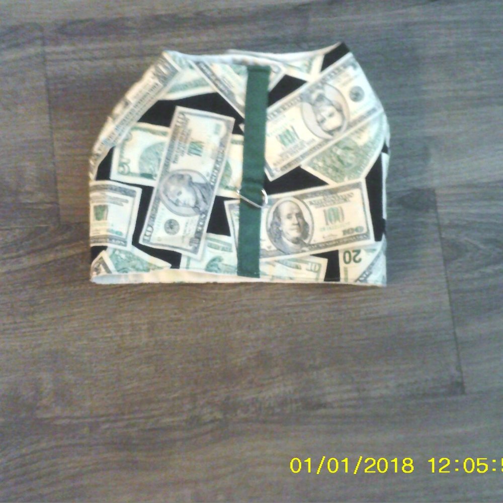 Money Puppy harness